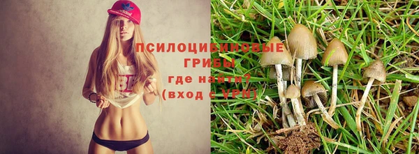 герыч Надым
