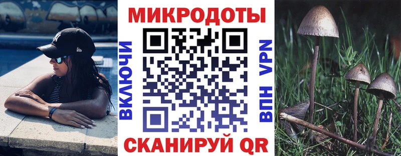 Галлюциногенные грибы Psilocybine cubensis Новое Девяткино