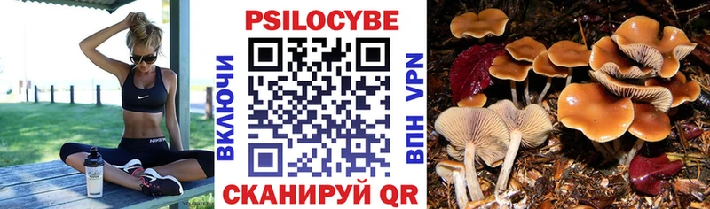 как найти наркотики  Новое Девяткино  Галлюциногенные грибы прущие грибы 